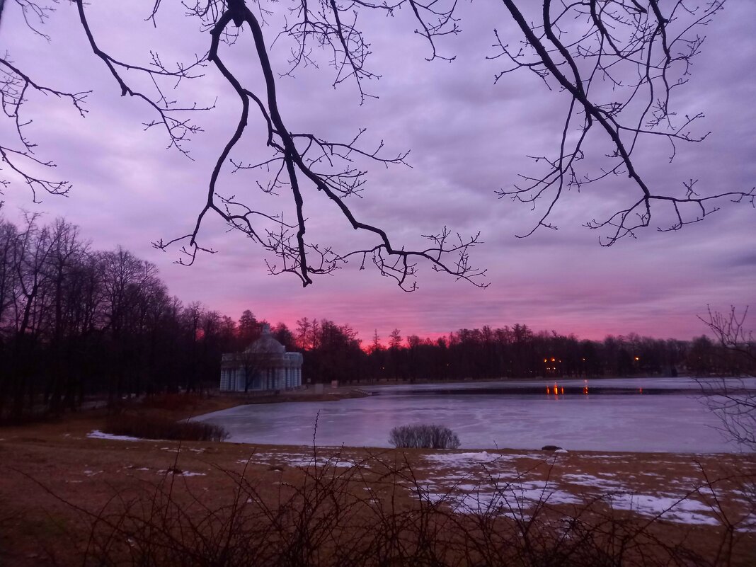 Рассвет - Сапсан 