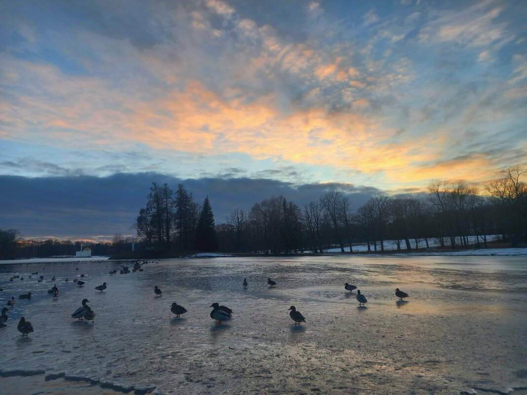 Закат - Сапсан 