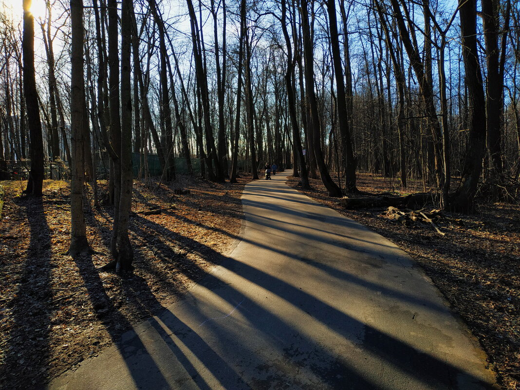 Свет и тени Лосиного острова - Андрей Лукьянов Свет и тени Лосиного острова - Андрей Лукьянов