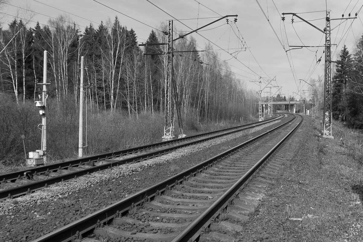 рельсы, рельсы - Дмитрий И_