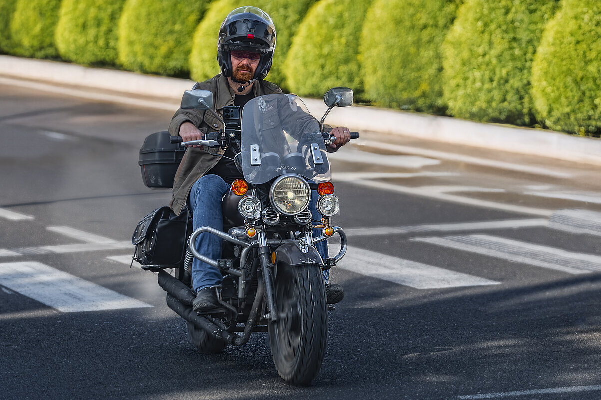 Steel horse - Shmual & Vika Retro Steel horse - Shmual & Vika Retro