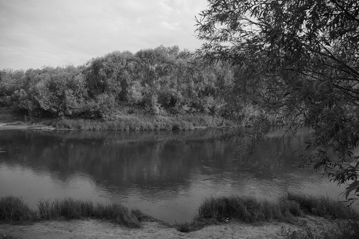 Название отсутствует - Денис Безногов Название отсутствует - Денис Безногов