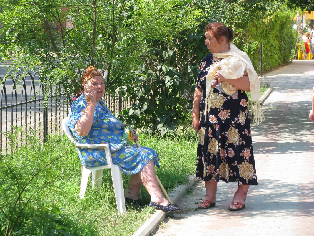 Соседки - Олег Зоркий