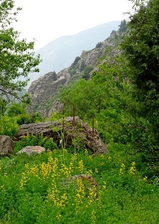 ЛЮБИМАЯ И БЛИЗКАЯ РЕЧКА - Виктор Осипчук ЛЮБИМАЯ И БЛИЗКАЯ РЕЧКА - Виктор Осипчук