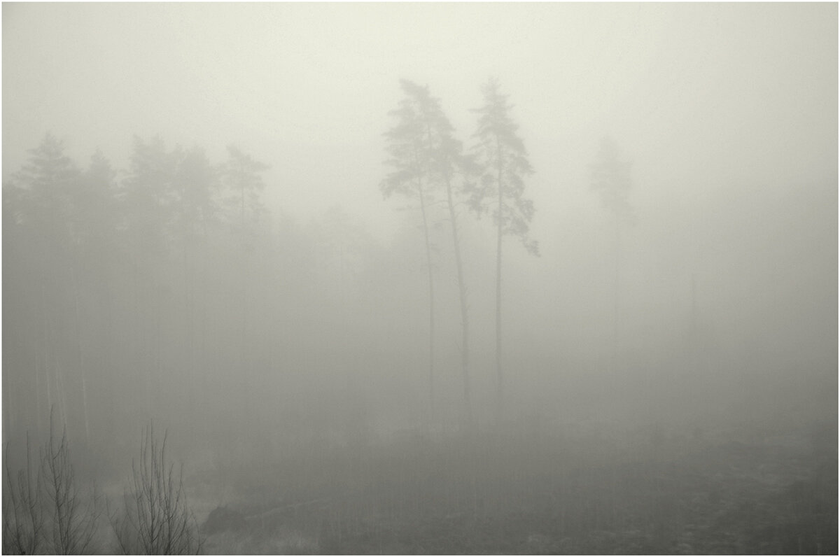 Туманчик - Aleksandr Gal Туманчик - Aleksandr Gal