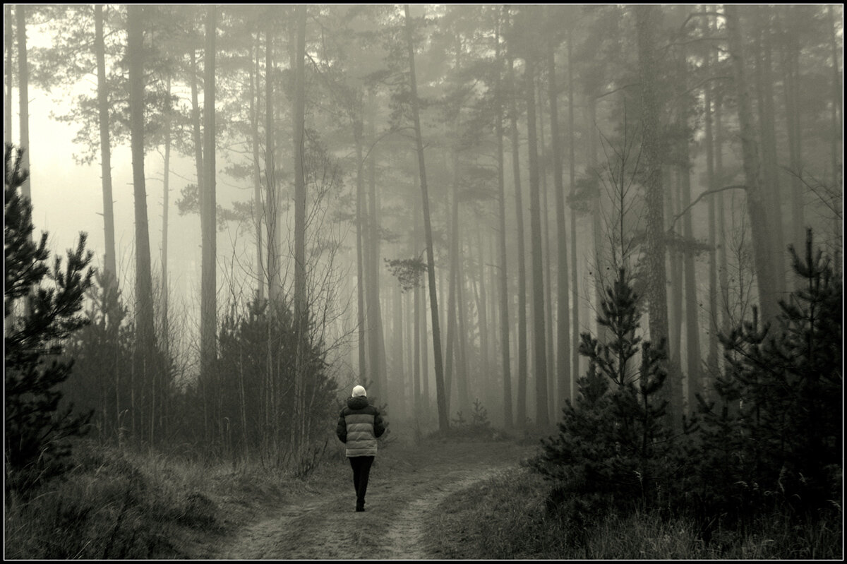 *** - Aleksandr Gal *** - Aleksandr Gal