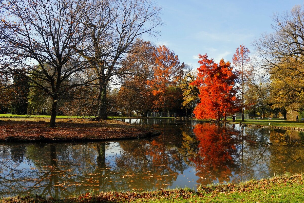 День осени - Юрий. Шмаков День осени - Юрий. Шмаков