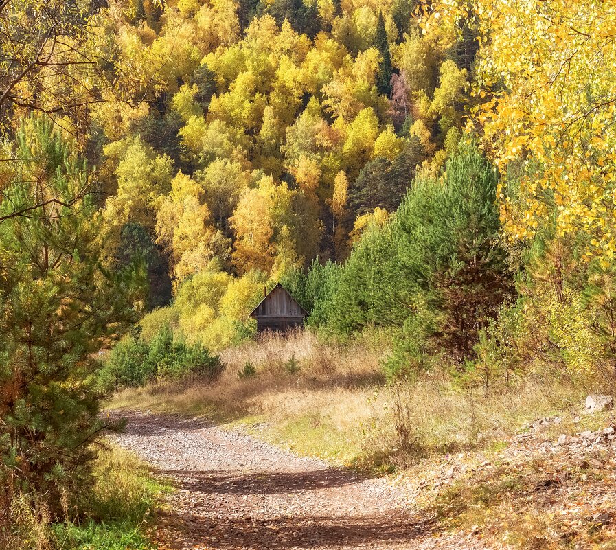 Затерянный в осени - Марина Фомина.