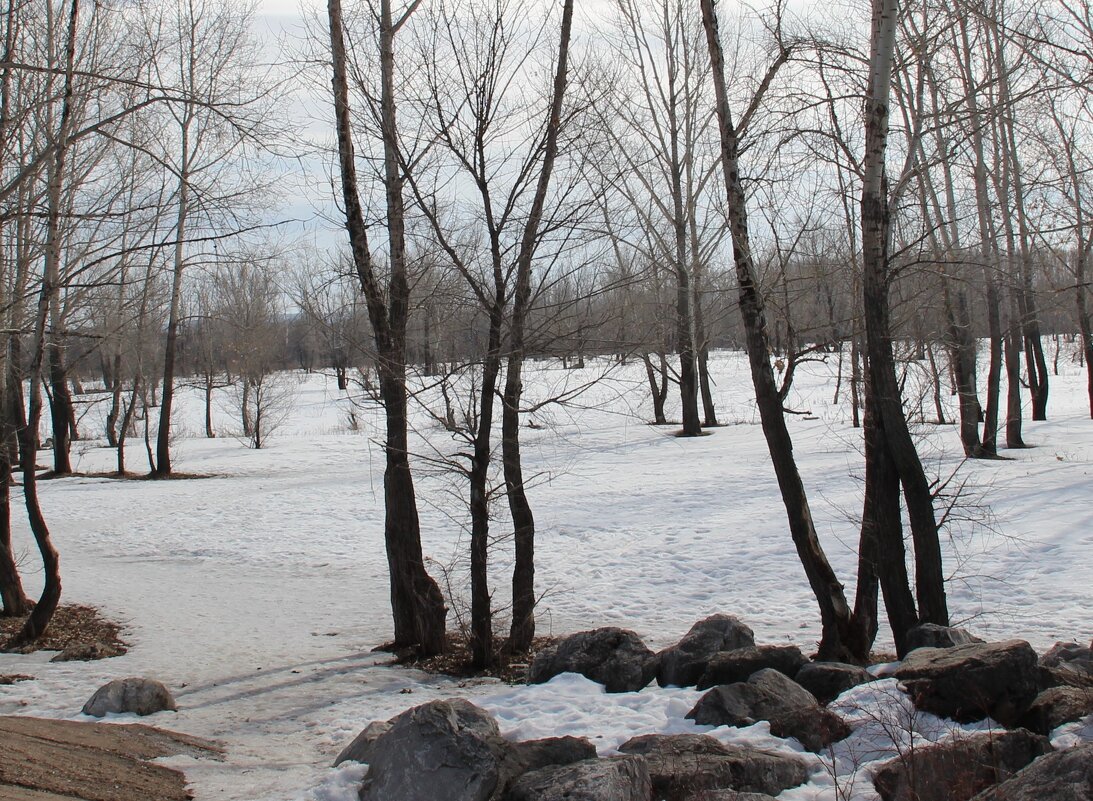 Весна. - Венера Чуйкова Весна. - Венера Чуйкова