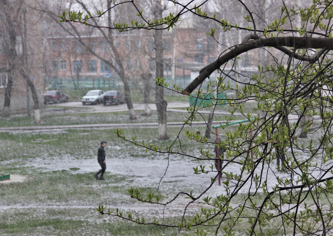 Мой город весной. - Венера Чуйкова Мой город весной. - Венера Чуйкова