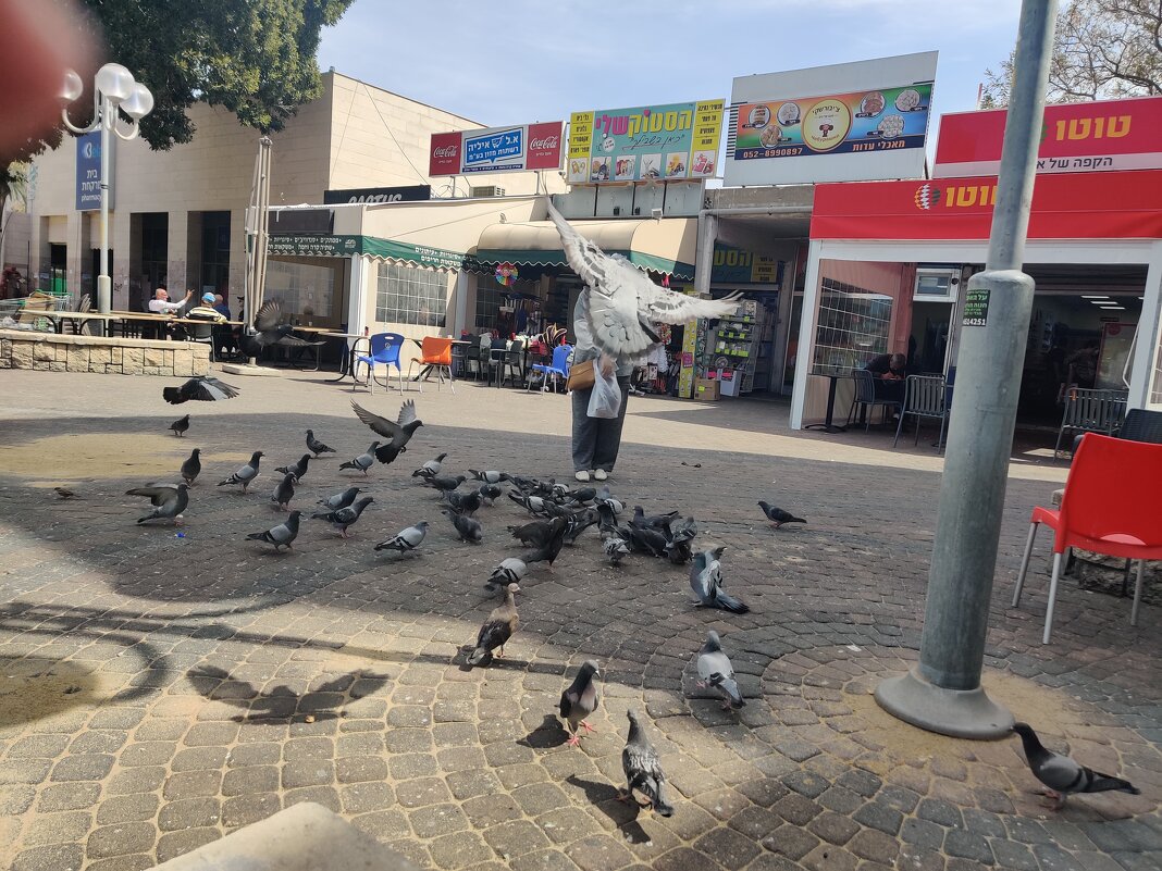 Дай мне пожалуйста. Я ведь один такой красивый белый!! - Светлана Хращевская Дай мне пожалуйста. Я ведь один такой красивый белый!! - Светлана Хращевская
