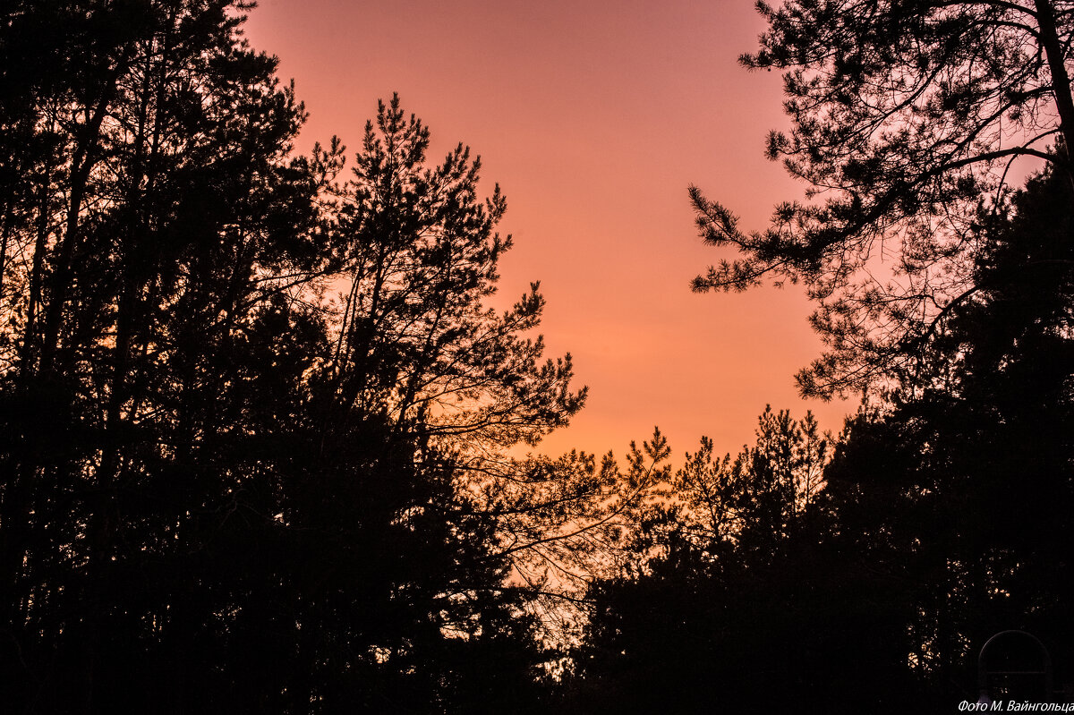 Закат - Михаил 