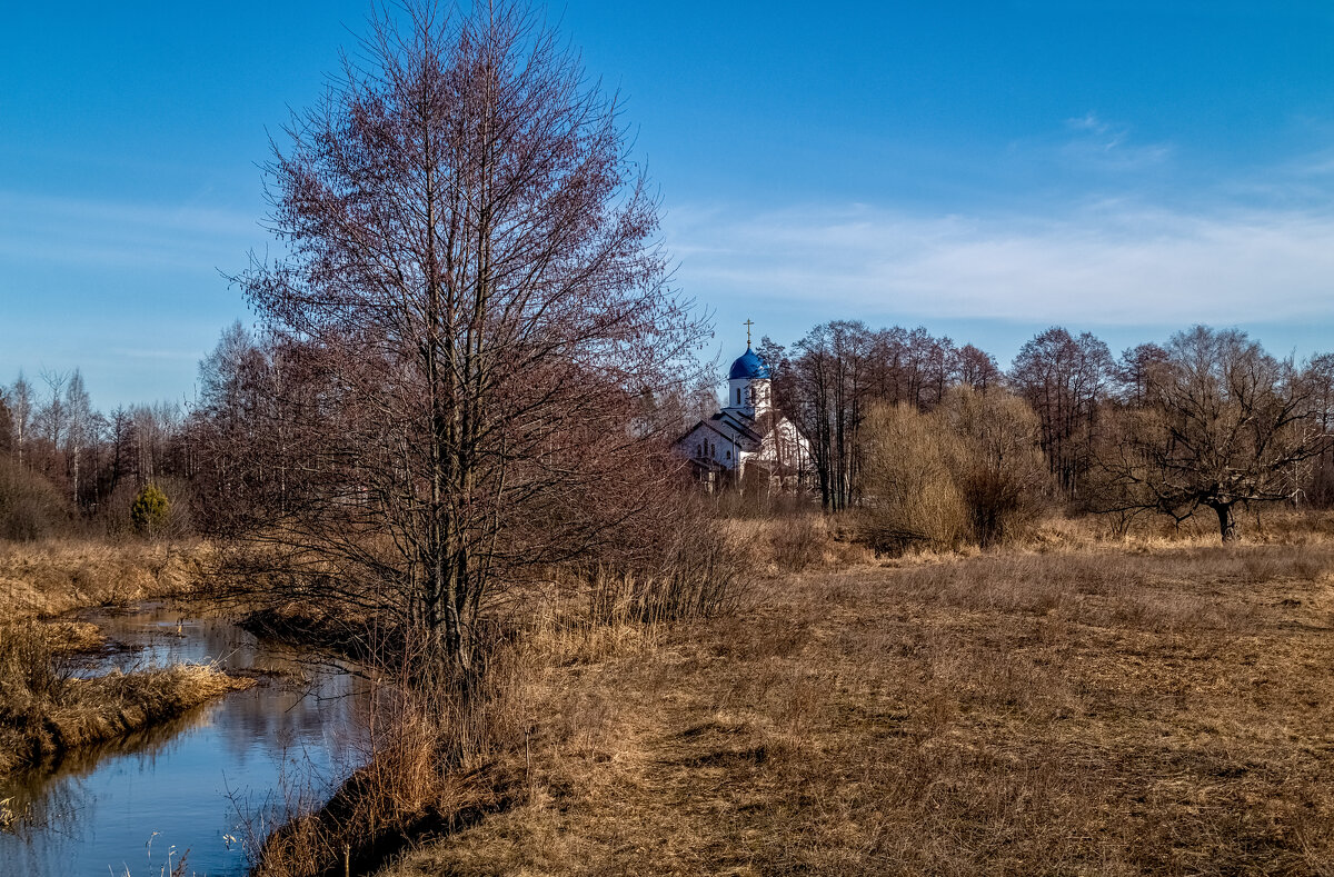 Начало Подмосковной весны 5 - Андрей Дворников Начало Подмосковной весны 5 - Андрей Дворников