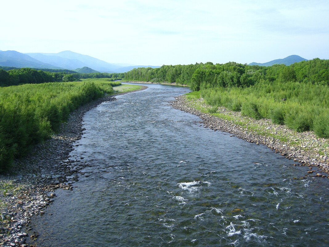 Река Киевка, Приморский край. - unix (Илья Утропов) Река Киевка, Приморский край. - unix (Илья Утропов)