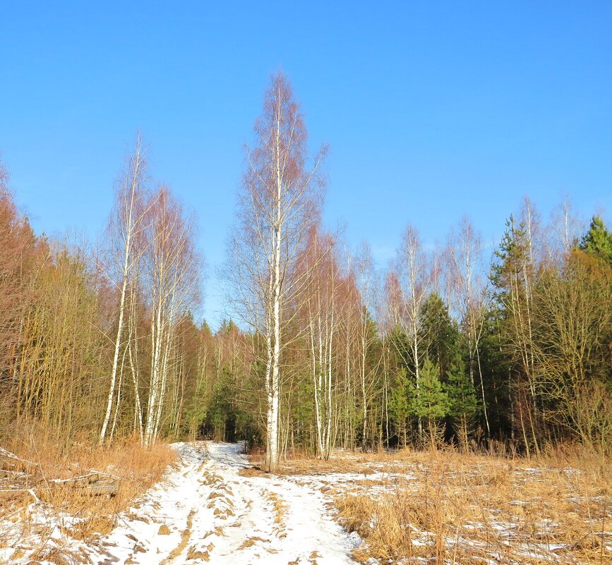 За день до весны - Андрей Снегерёв За день до весны - Андрей Снегерёв
