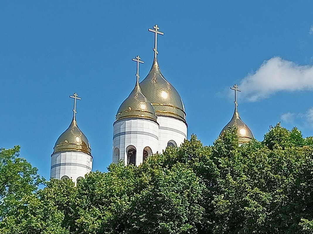 Калининград - Юра Светлаков