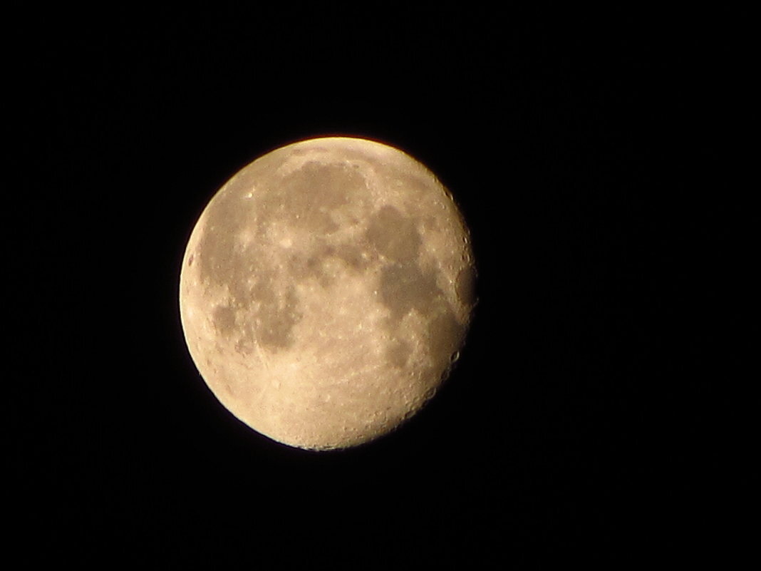 Из старого сундука, 13.08.2014 - Андрей Лукьянов Из старого сундука, 13.08.2014 - Андрей Лукьянов