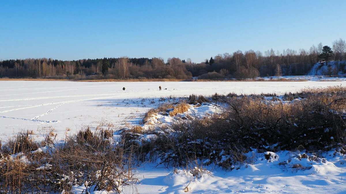 О любителях зимней рыбалки (репортаж из поездок по области). - Милешкин Владимир Алексеевич О любителях зимней рыбалки (репортаж из поездок по области). - Милешкин Владимир Алексеевич