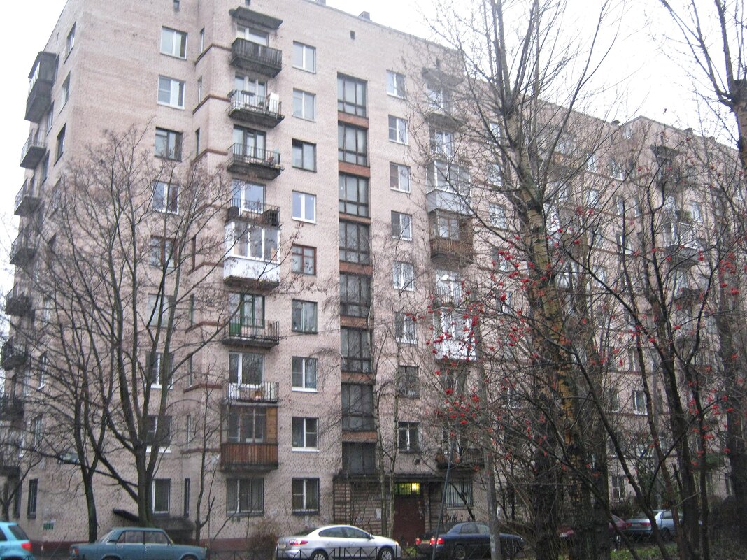 дом - марта Камушкина