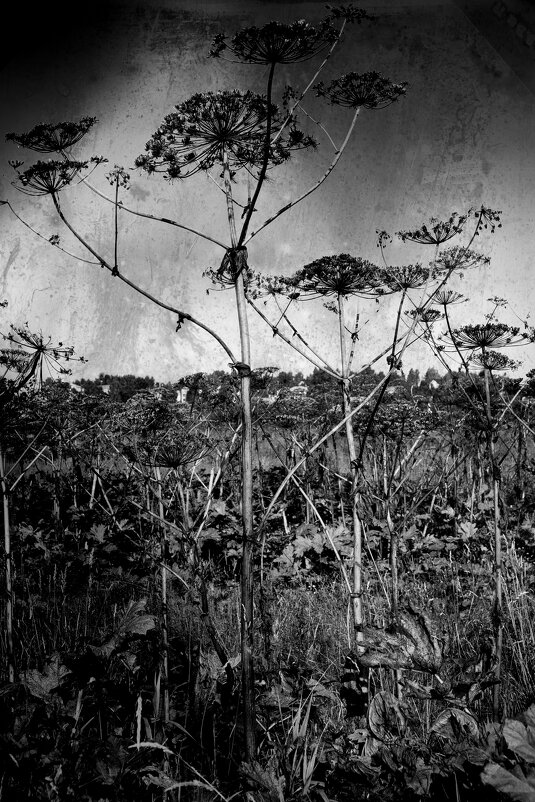 Название отсутствует - Денис Безногов