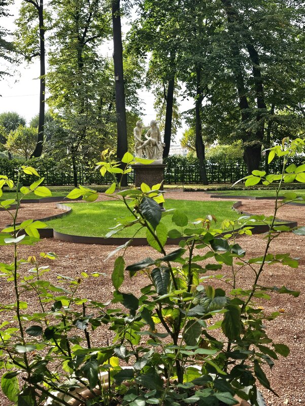 Летний сад - Юлия Голикова