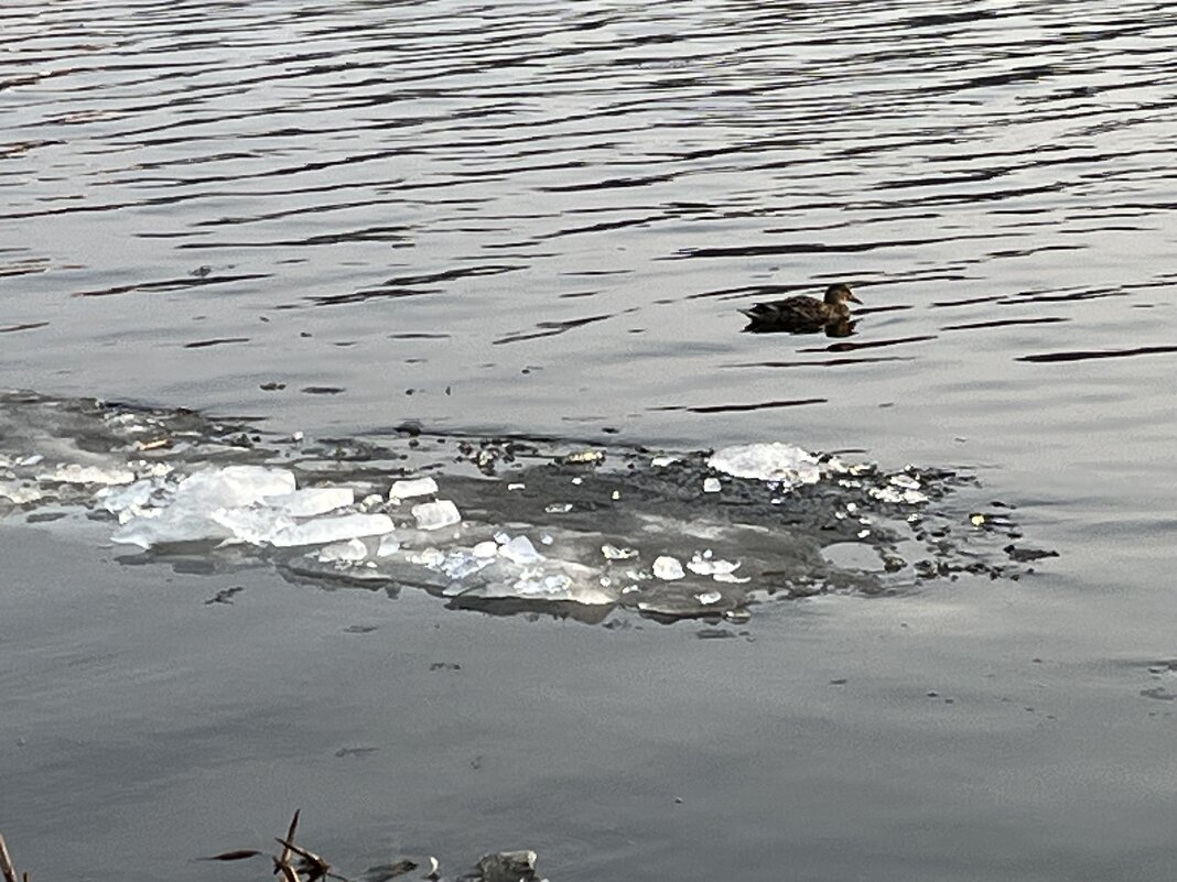 параллельно... - Olga Oskolkova параллельно... - Olga Oskolkova