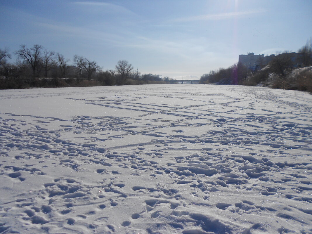 февраль - Елена Шаламова