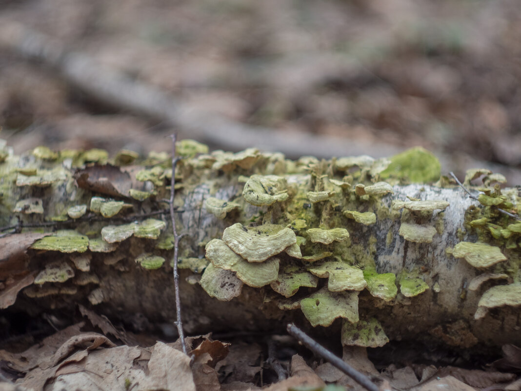 ___ - Yuriy V ___ - Yuriy V