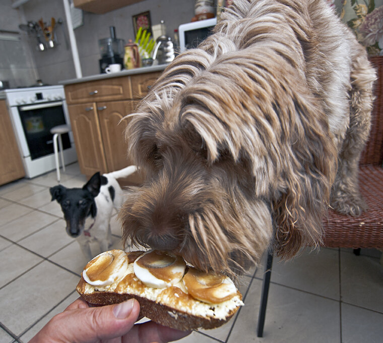 Сегодня День рождения Бутерброда. С Днюхой брателло )) - Владимир Хиль