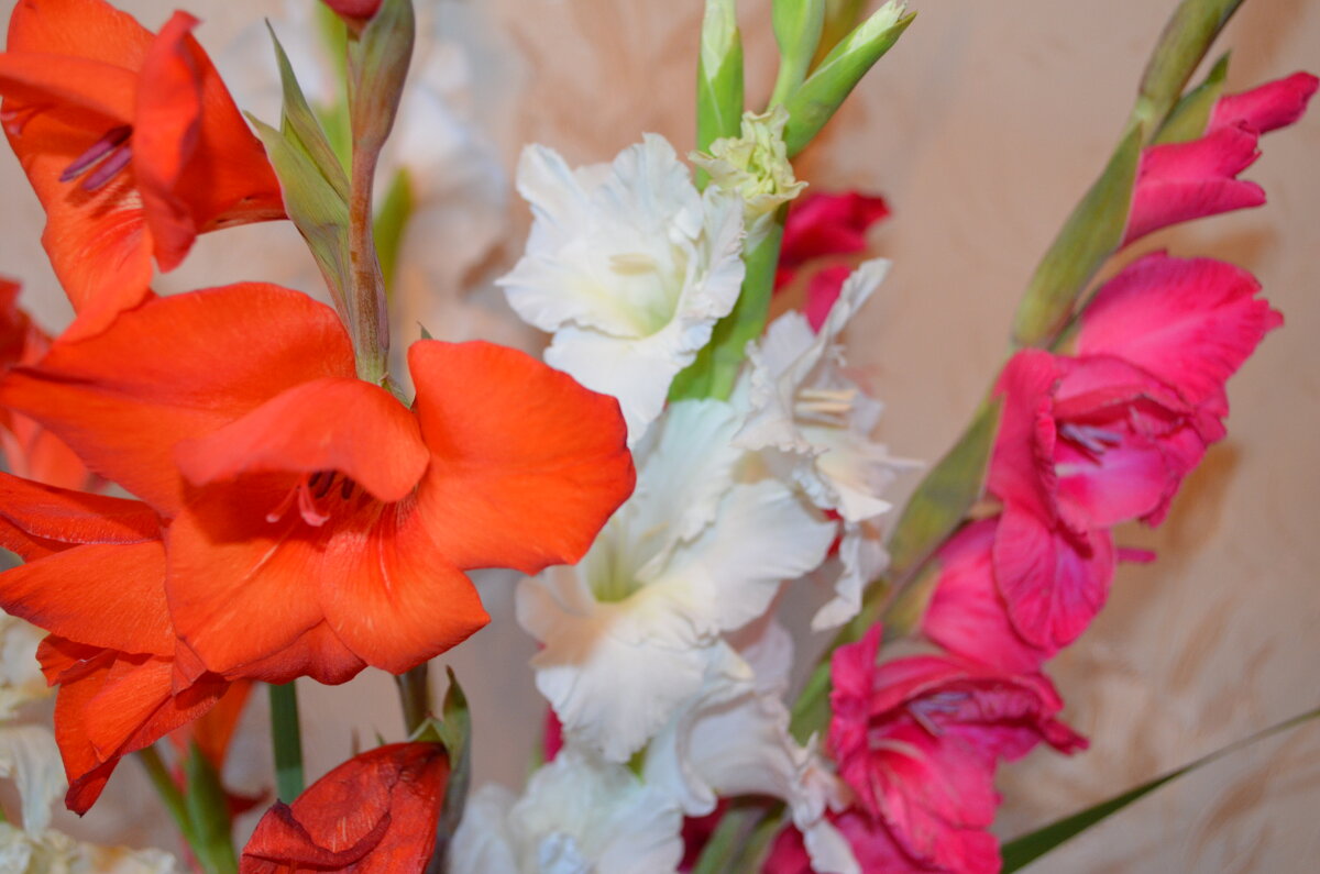 ,,, - Сергей Тимоновский ,,, - Сергей Тимоновский