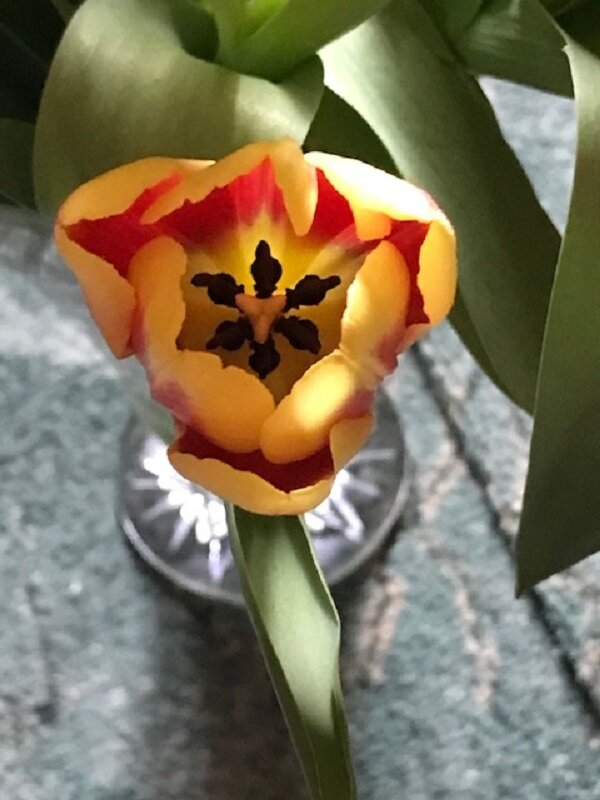 ! ! ! - Татьяна Юрасова