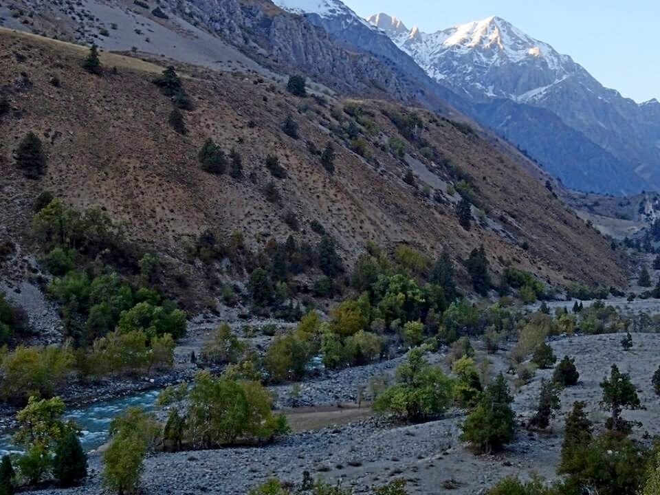 ГОРНАЯ ПРОГУЛКА. - Виктор Осипчук ГОРНАЯ ПРОГУЛКА. - Виктор Осипчук