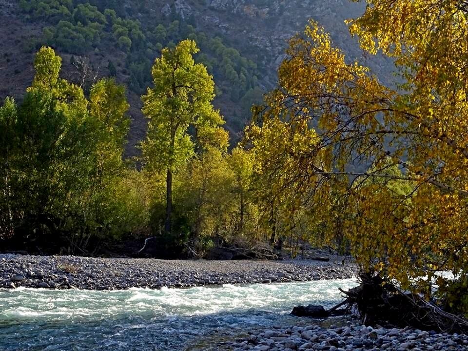 ГОРНАЯ ПРОГУЛКА. - Виктор Осипчук ГОРНАЯ ПРОГУЛКА. - Виктор Осипчук