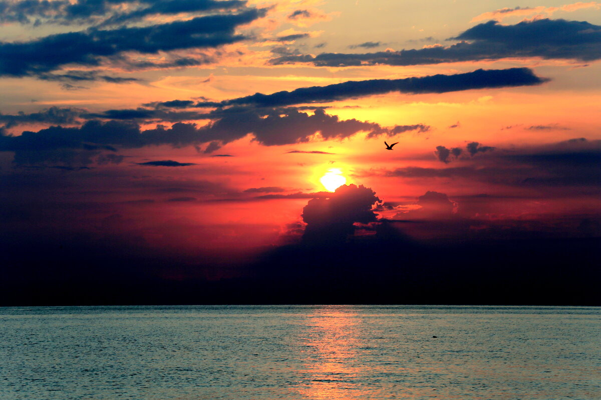 At the sunset - Валерий 