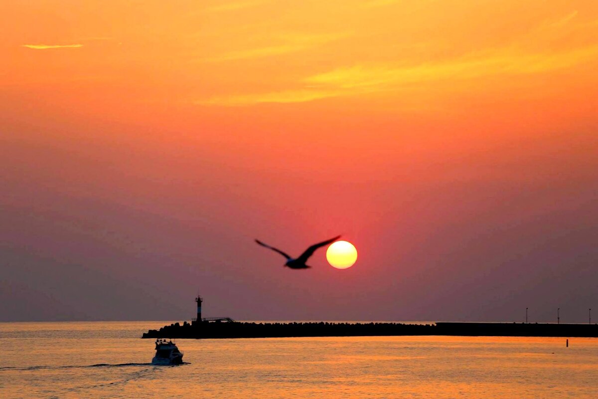 На вечернюю прогулку - Валерий 