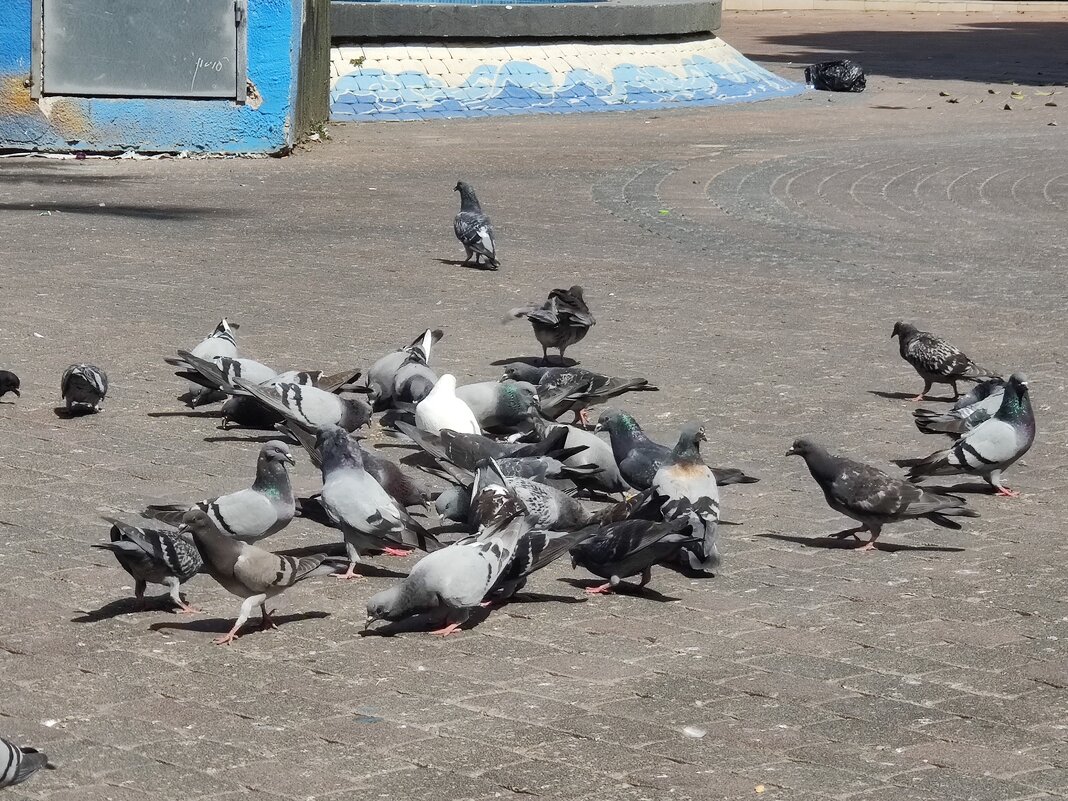 " - Светлана Хращевская