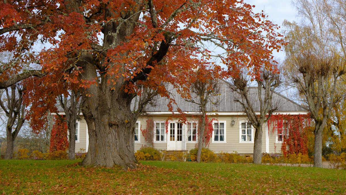 Дом-музей А.С. Пушкина в Михайловском - Олег Зоркий Дом-музей А.С. Пушкина в Михайловском - Олег Зоркий