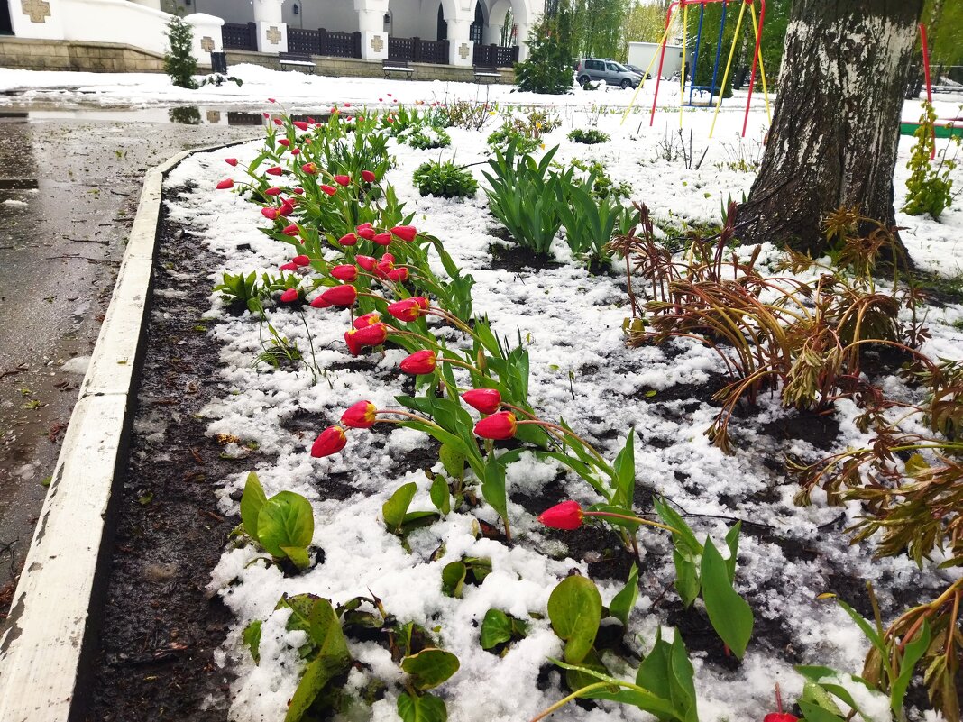 ВЕСНА - Ольга НН ВЕСНА - Ольга НН