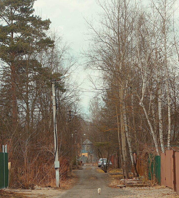 *** - Леонид leo