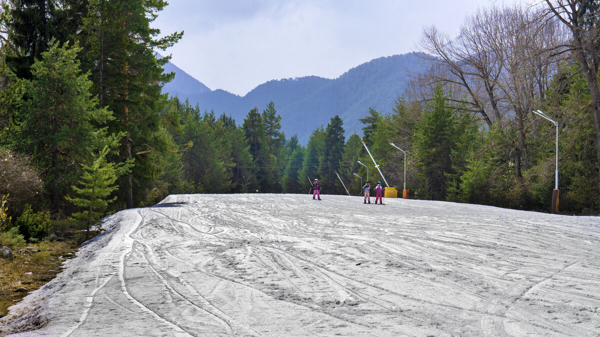 Середина марта - Эмиль Середина марта - Эмиль