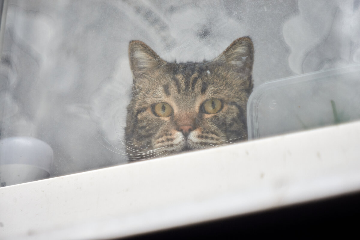 в ожидании тепла - Александр Леонов в ожидании тепла - Александр Леонов