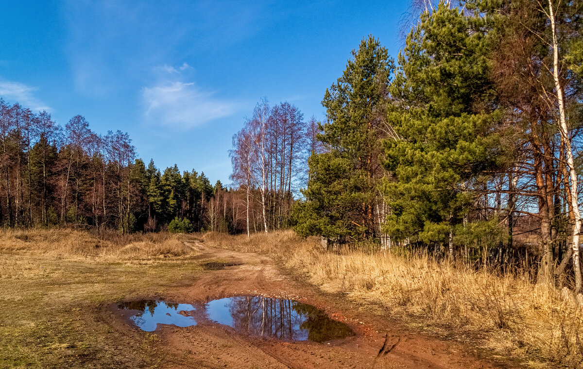 Начало Подмосковной весны 6 - Андрей Дворников Начало Подмосковной весны 6 - Андрей Дворников
