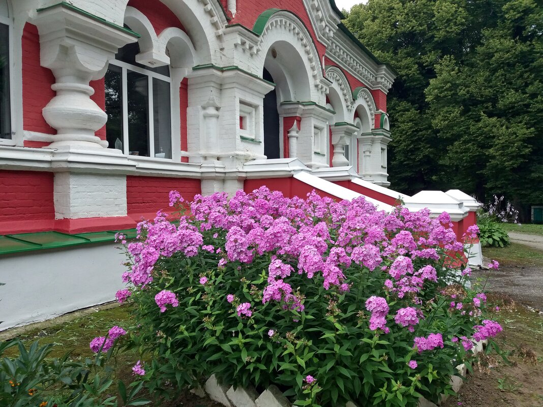 Цветы у церкви Петра и Павла - Galina Solovova