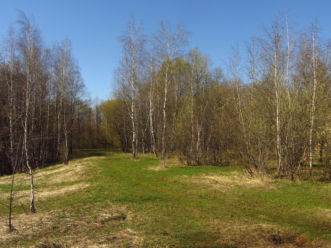 Из старого, 02.05.2013 - Андрей Лукьянов