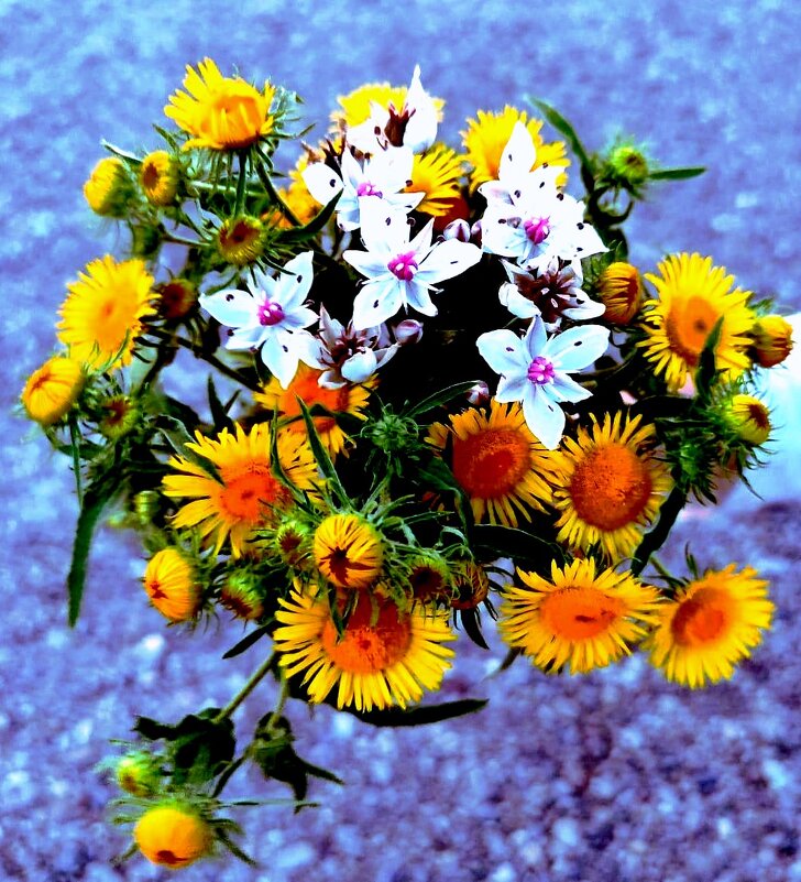 Букет цветов - Георгиевич Букет цветов - Георгиевич