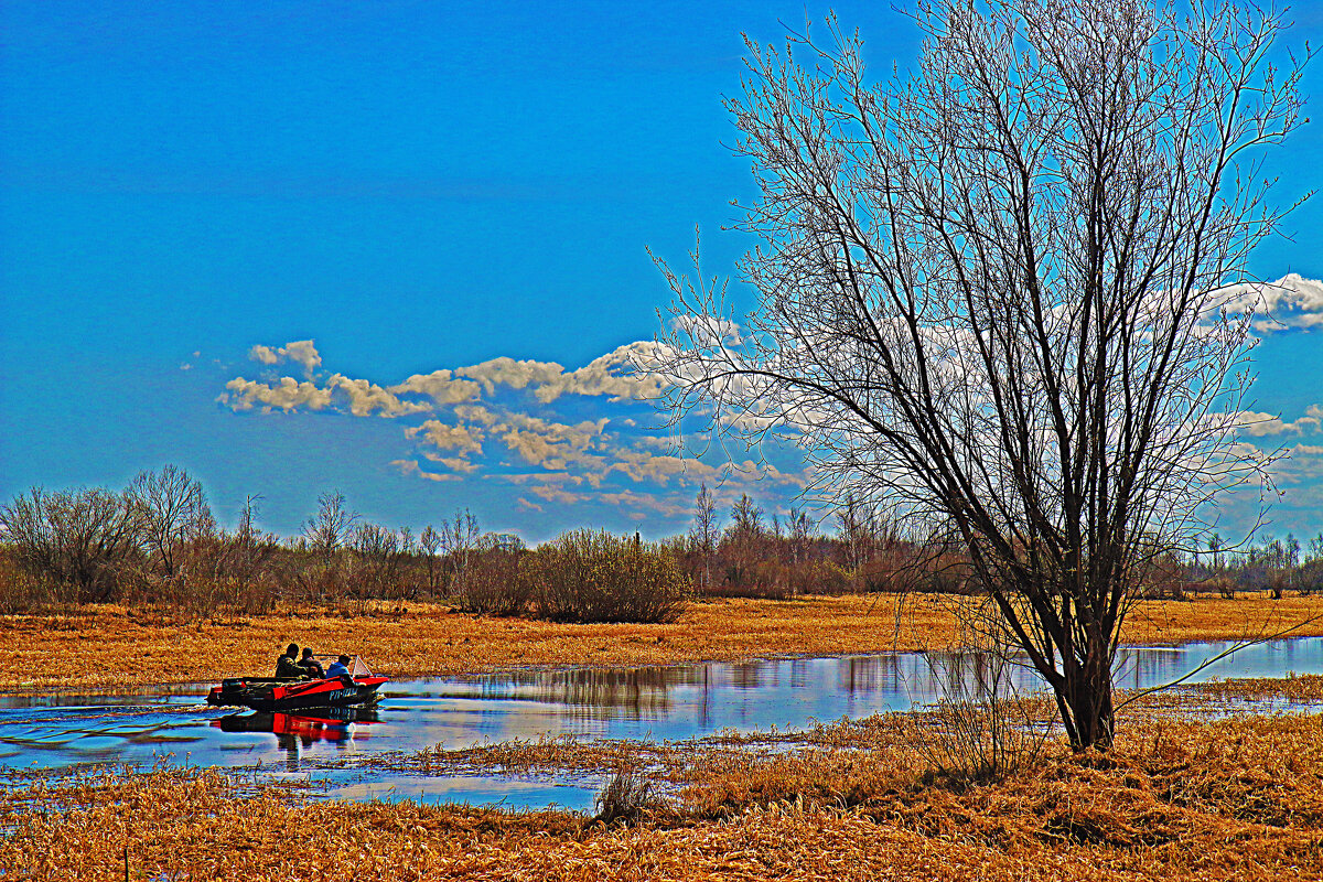 Май...По протоке Чеускиной! - Владимир 