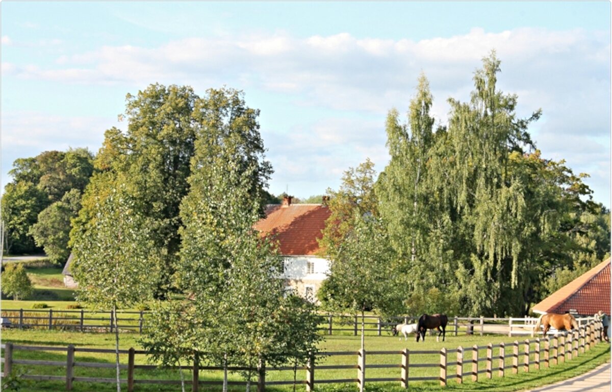 сигулда - марта Камушкина