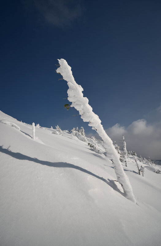 * - Александр Иванов