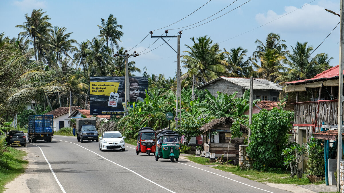 Шри-Ланка - Dmitry i Mary S