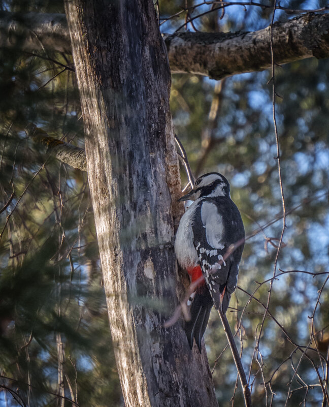 За работой - Сергей Цветков